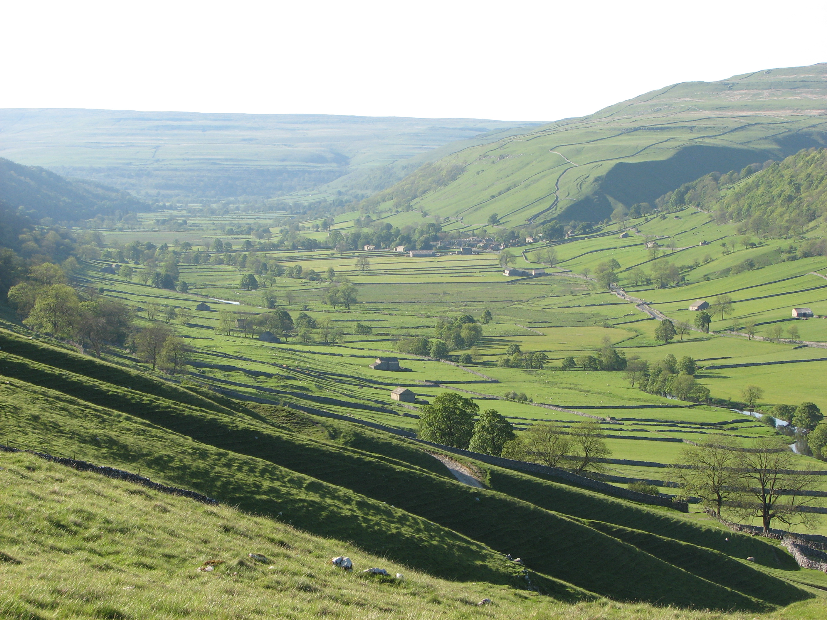 The classic walls and barns landscape of the Yorkshire Dales