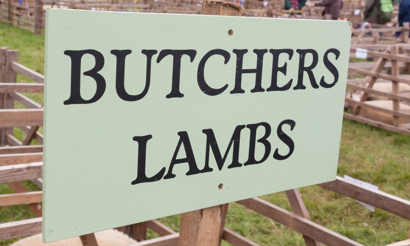 Butchers Lambs